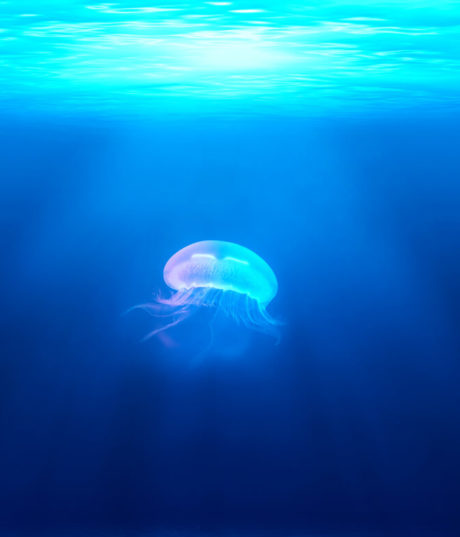 Blue - under water